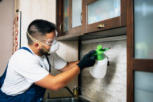 Best Pest Control for Homes  in Eureka, MT